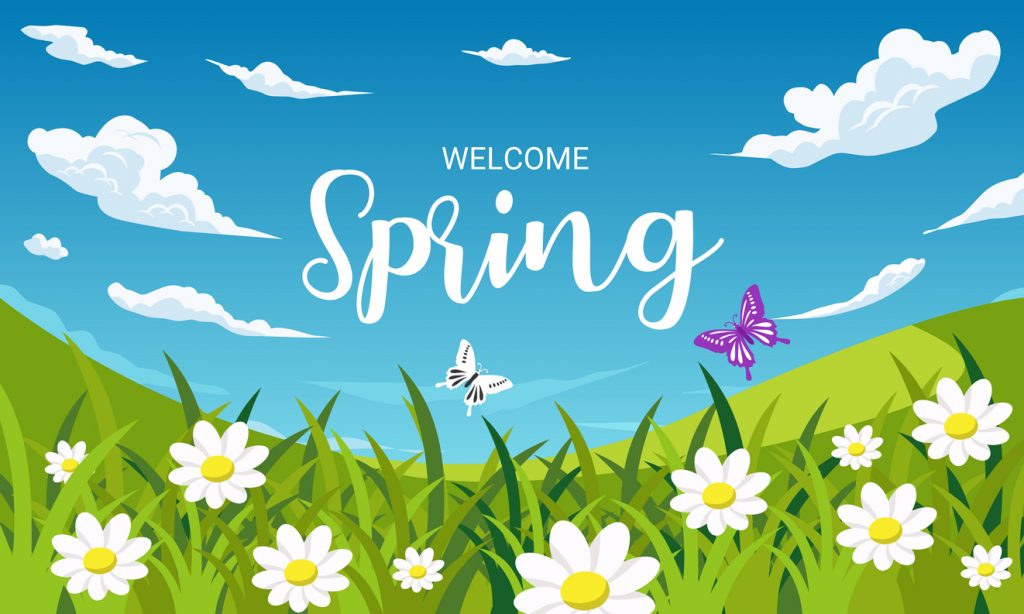 Spring background, landscape with flowers, grass, butterflies and blue sky. vector illustration.